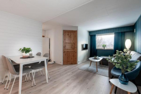Modern apartment in the center of the island